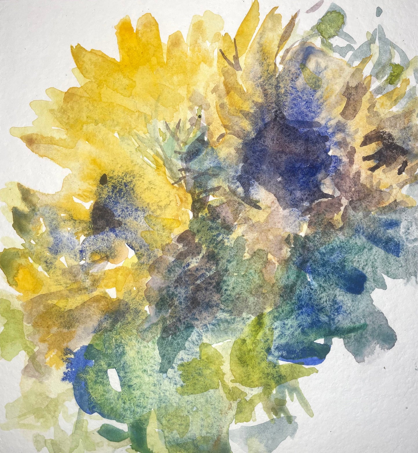 Sunflowers at Brasil's - Cynthia Coffield Fine Art