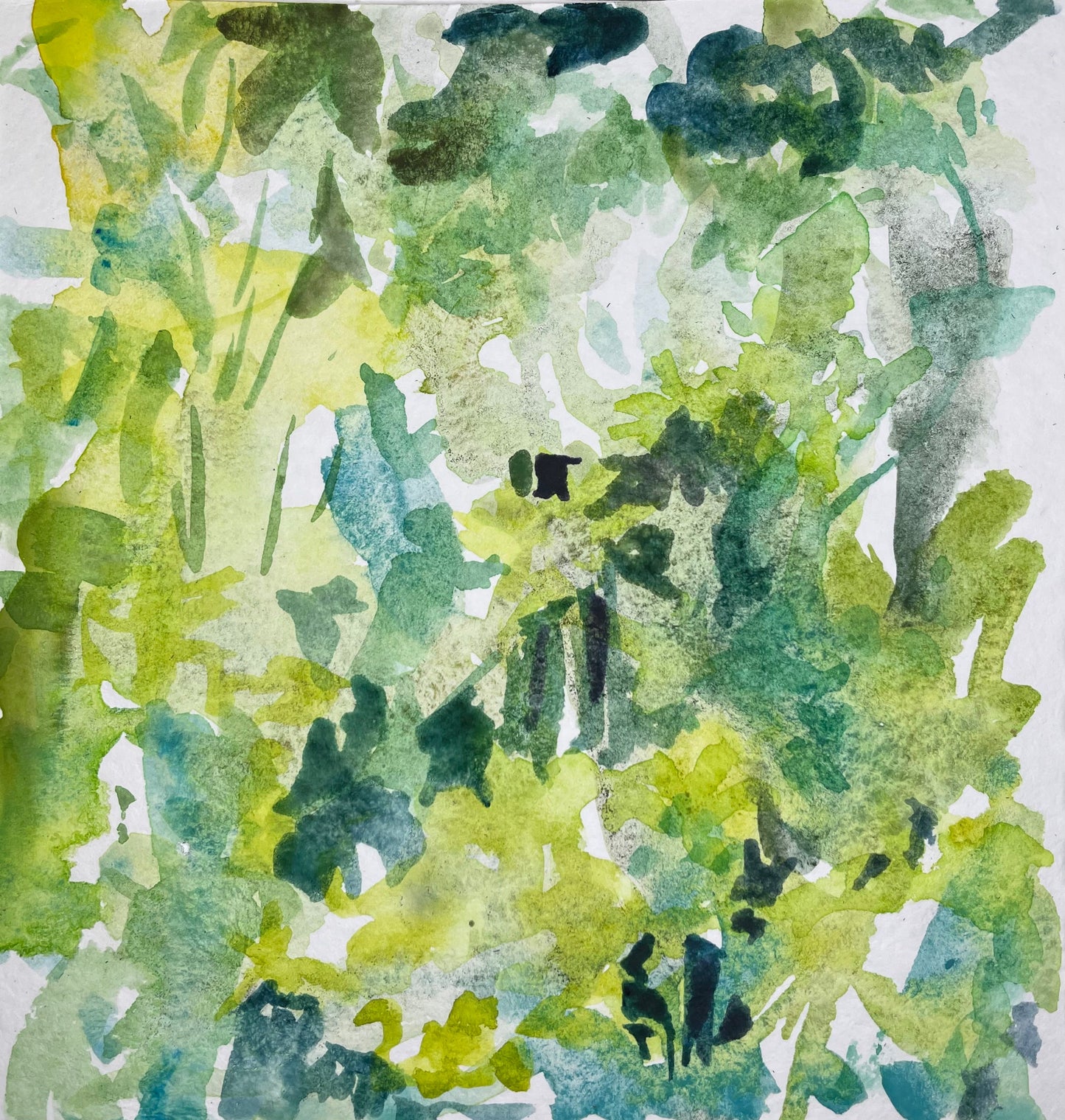Greens - Cynthia Coffield Fine Art