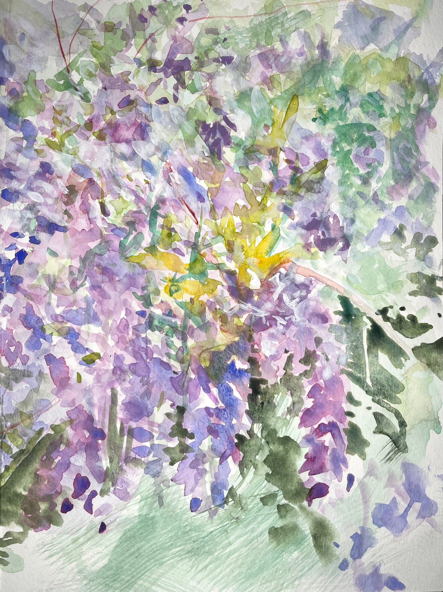 Either Way Is Ok - Cynthia Coffield Fine Art