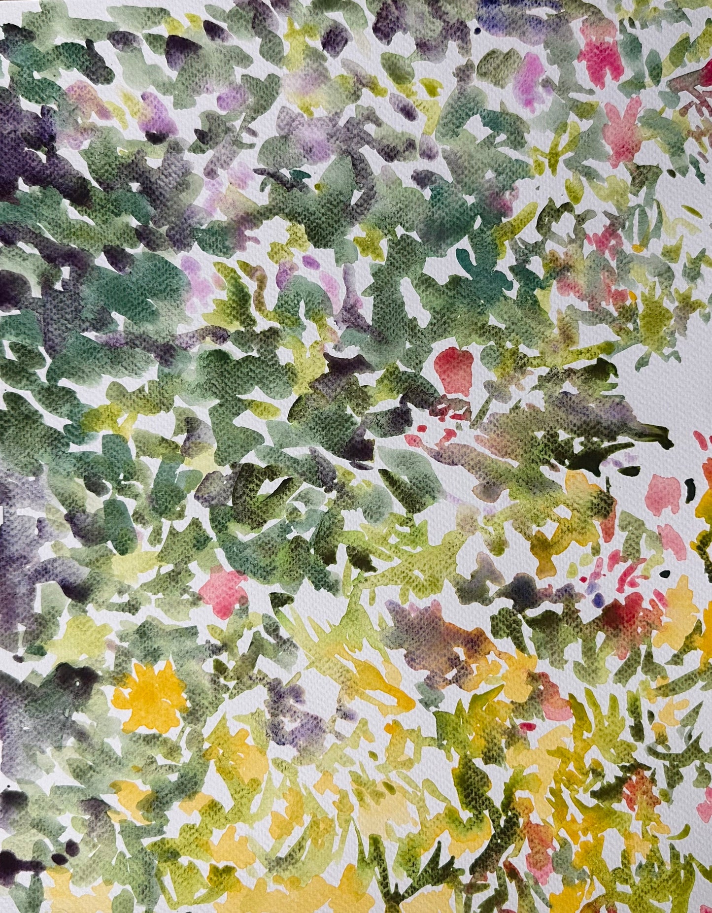 Early Fall Sunlight - Cynthia Coffield Fine Art