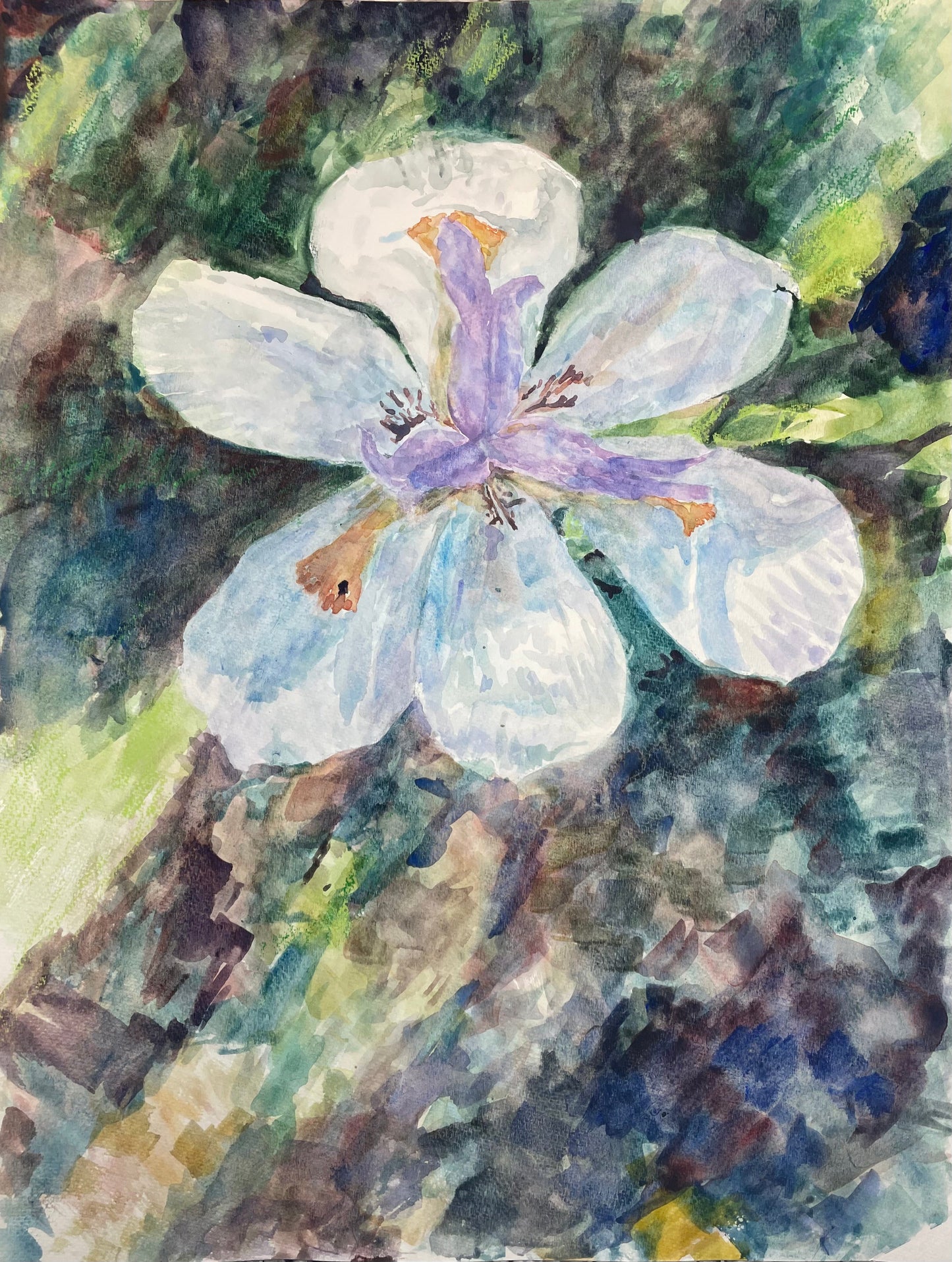 Showing Up for Spring - Cynthia Coffield Fine Art