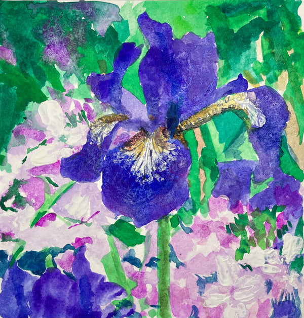 Iris flowers - Cynthia Coffield Fine Art