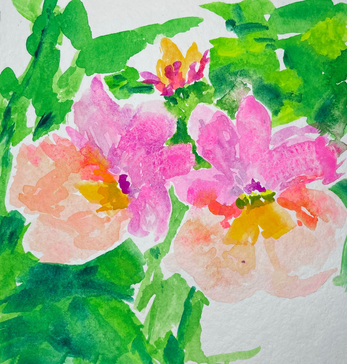 Nasturtium flowers - Cynthia Coffield Fine Art