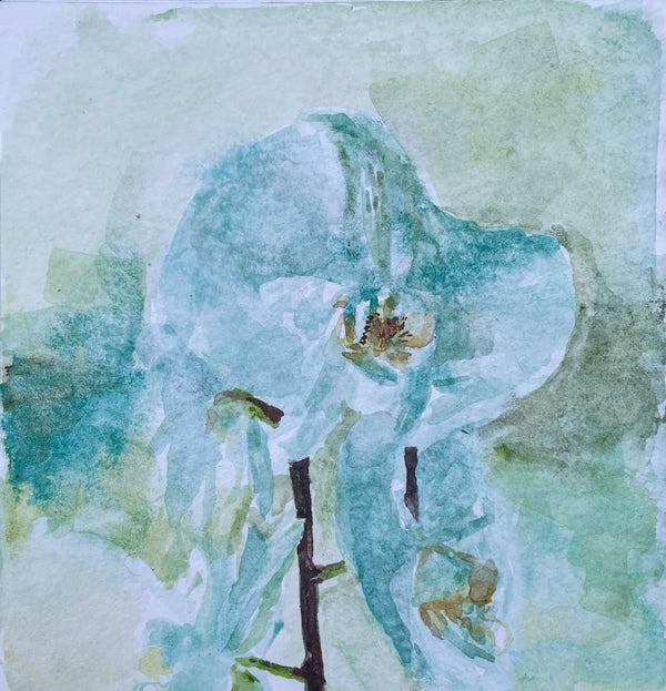 Orchids 005 - Cynthia Coffield Fine Art