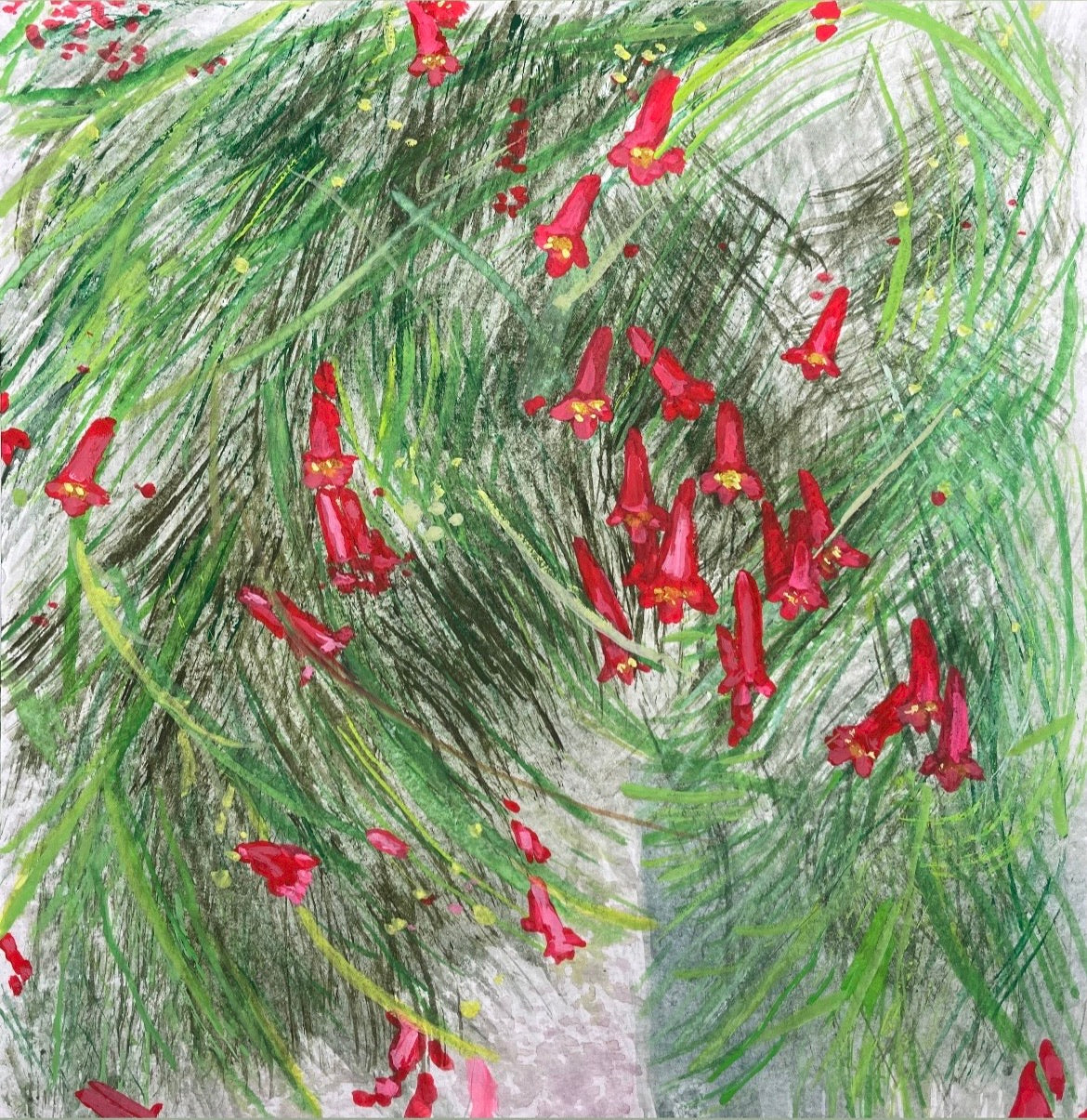 Firecracker Flowers - Cynthia Coffield Fine Art