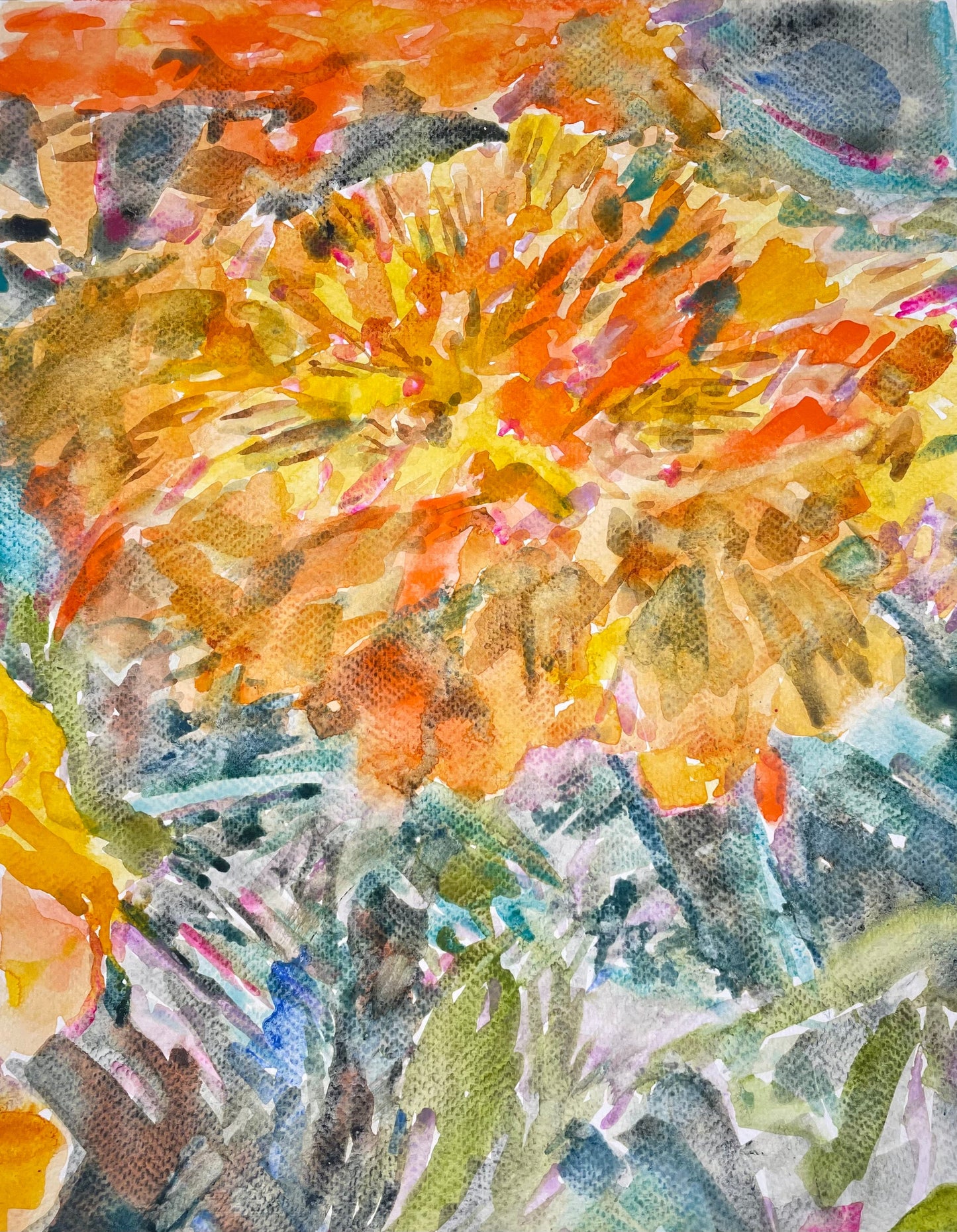 Marigold - Cynthia Coffield Fine Art