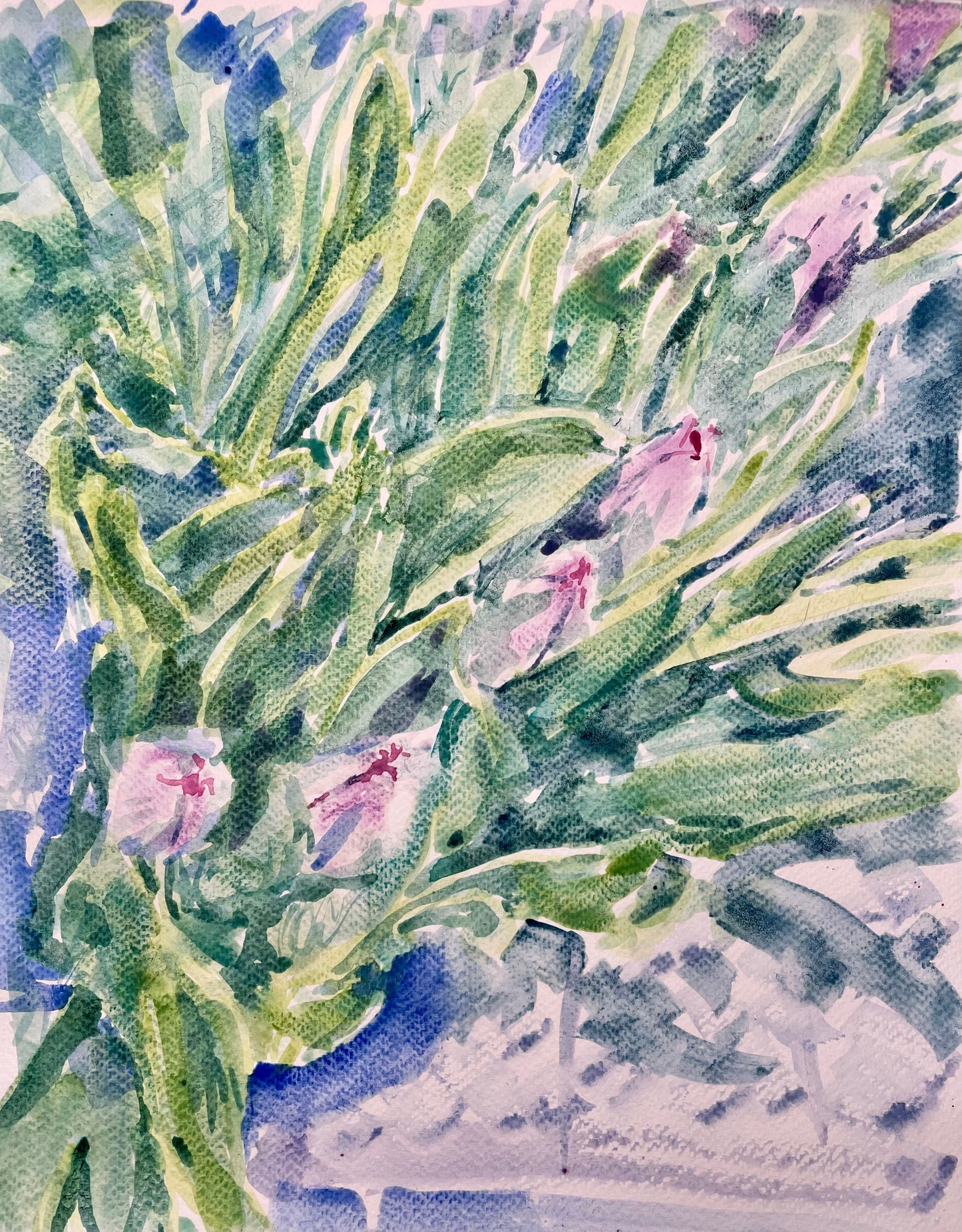 Tulips - Cynthia Coffield Fine Art