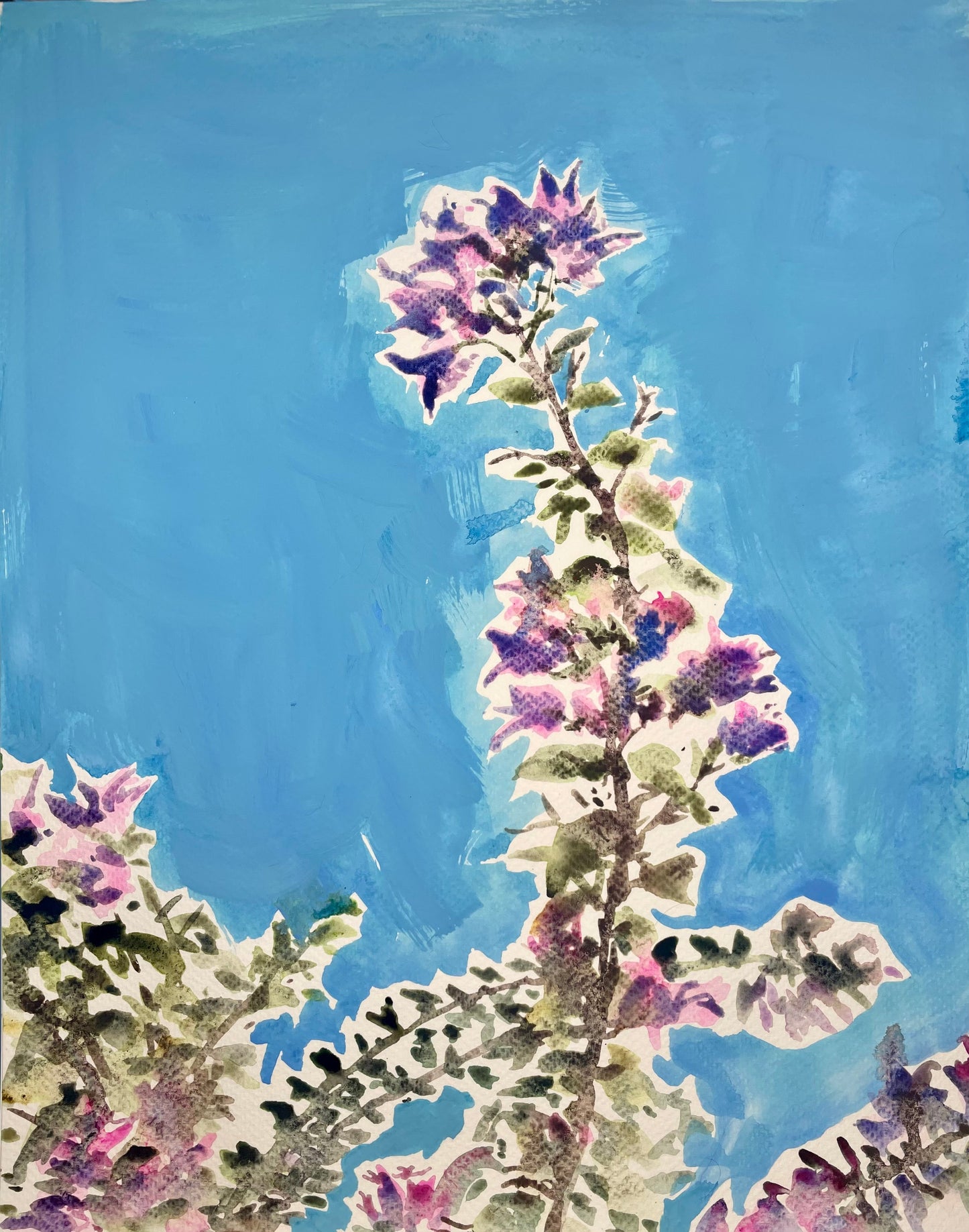 Late Summer Bougainvillea - Cynthia Coffield Fine Art
