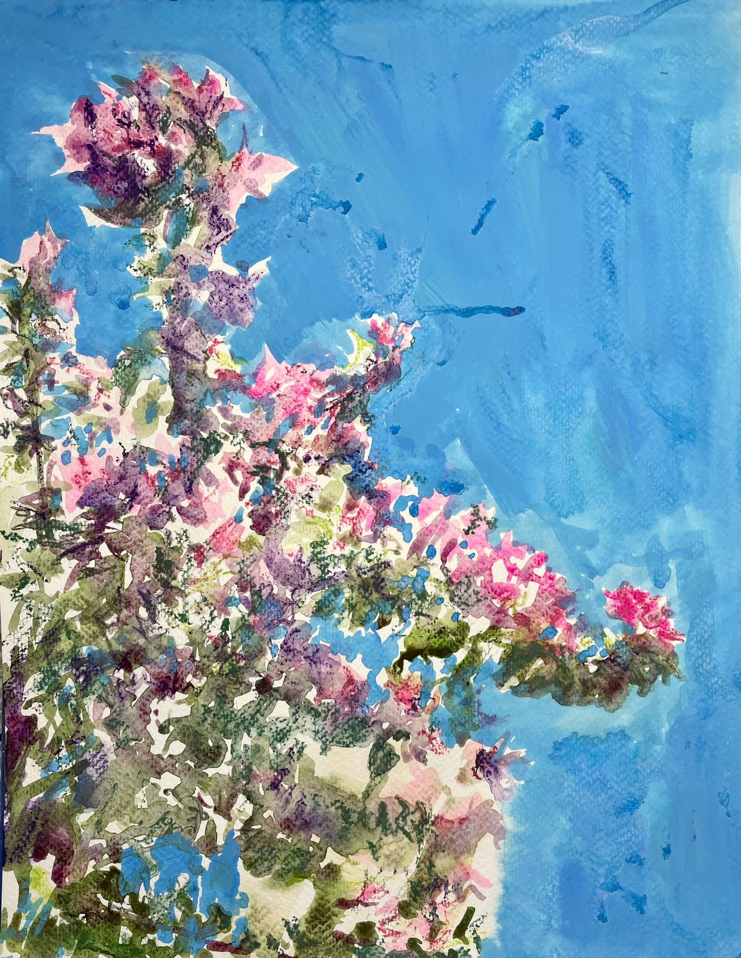 October 3 Bougainvillea - Cynthia Coffield Fine Art