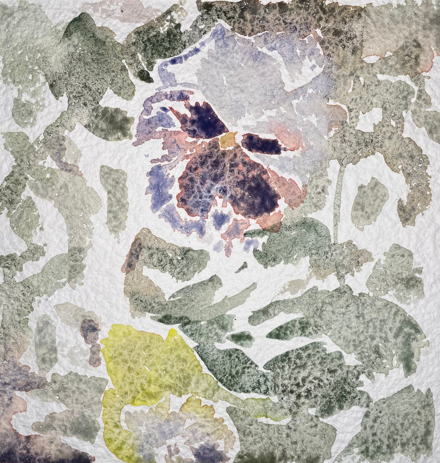 Folding - Cynthia Coffield Fine Art