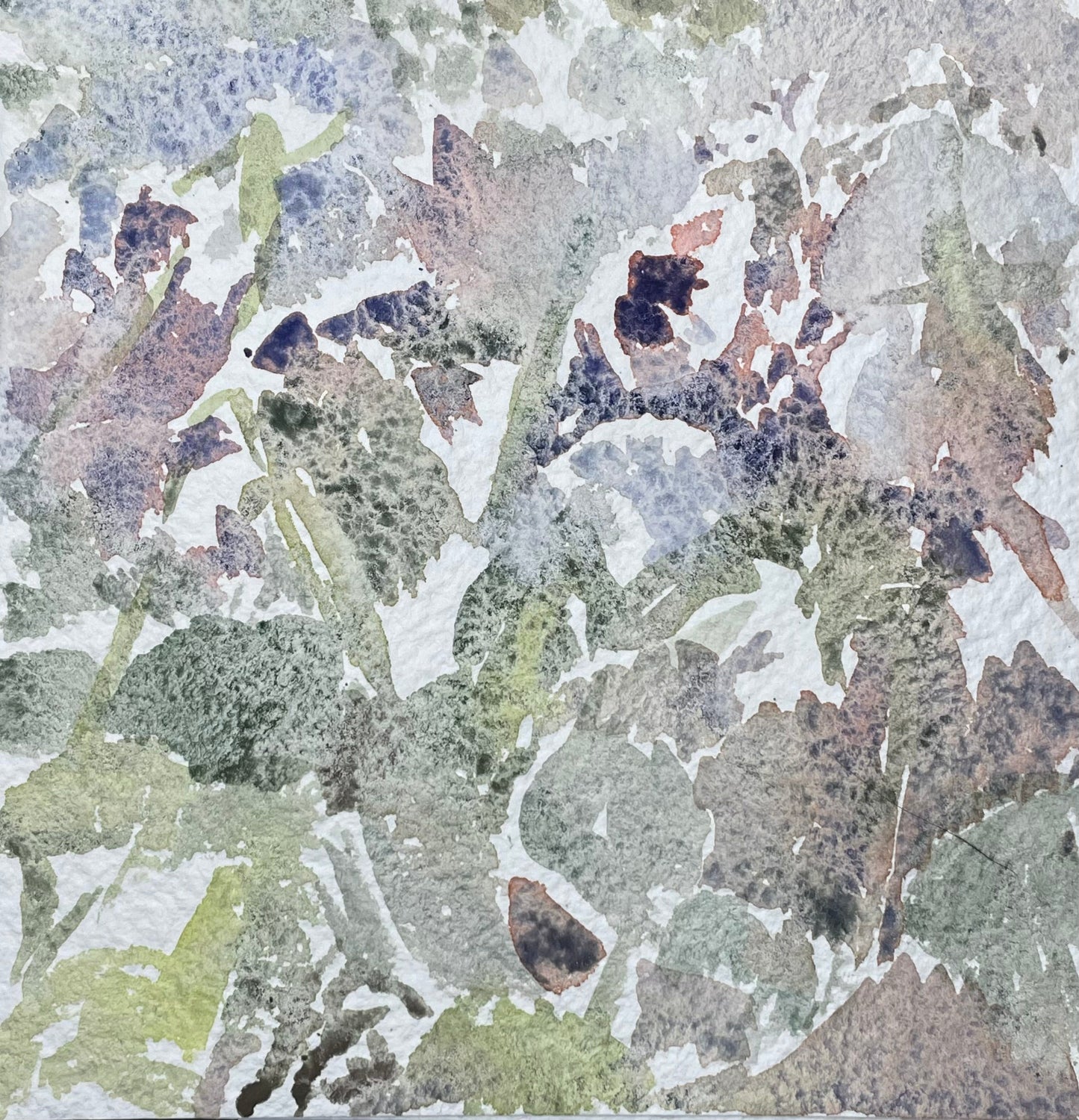 Unfolding - Cynthia Coffield Fine Art