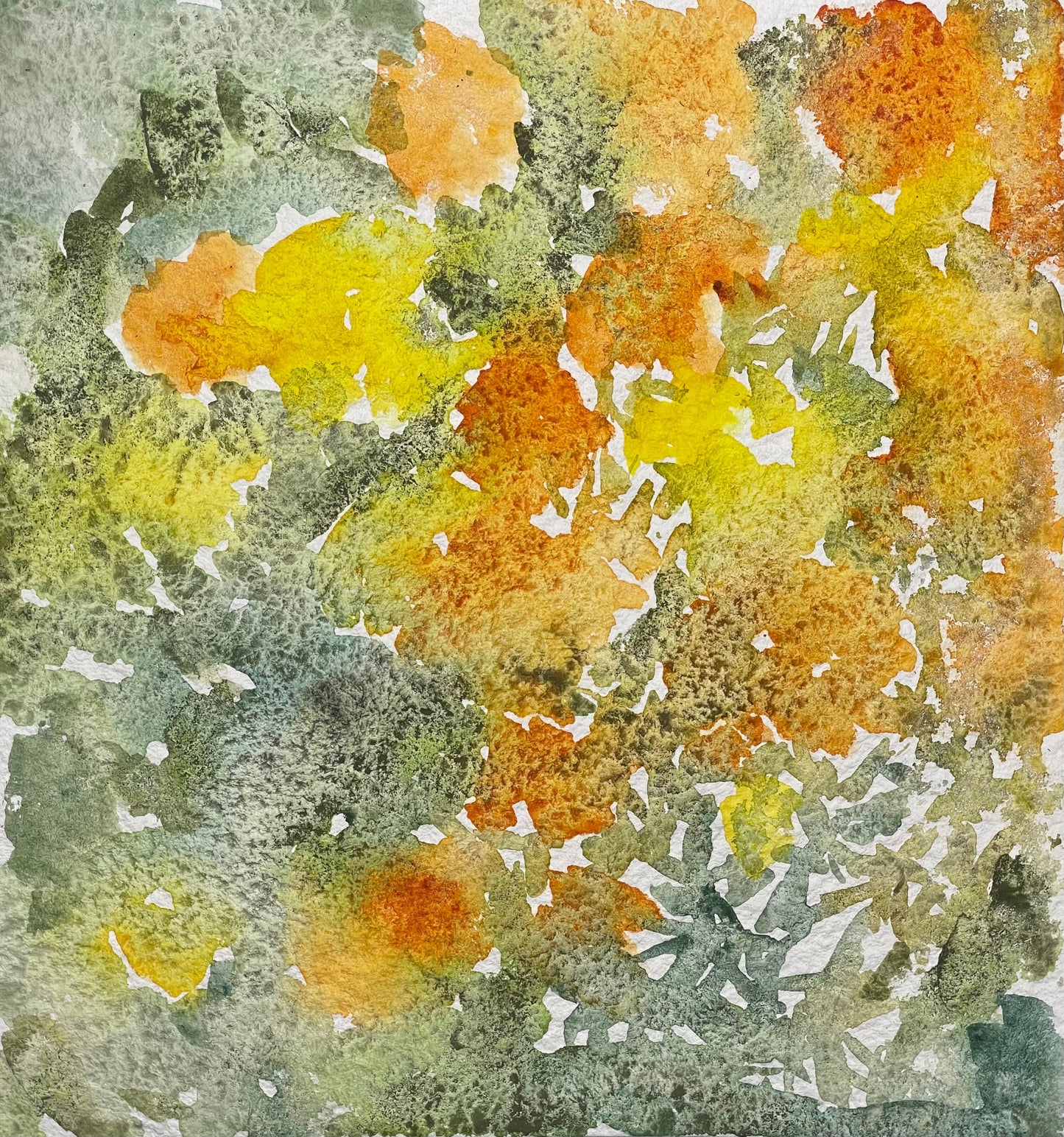 Golden Mardi - Cynthia Coffield Fine Art