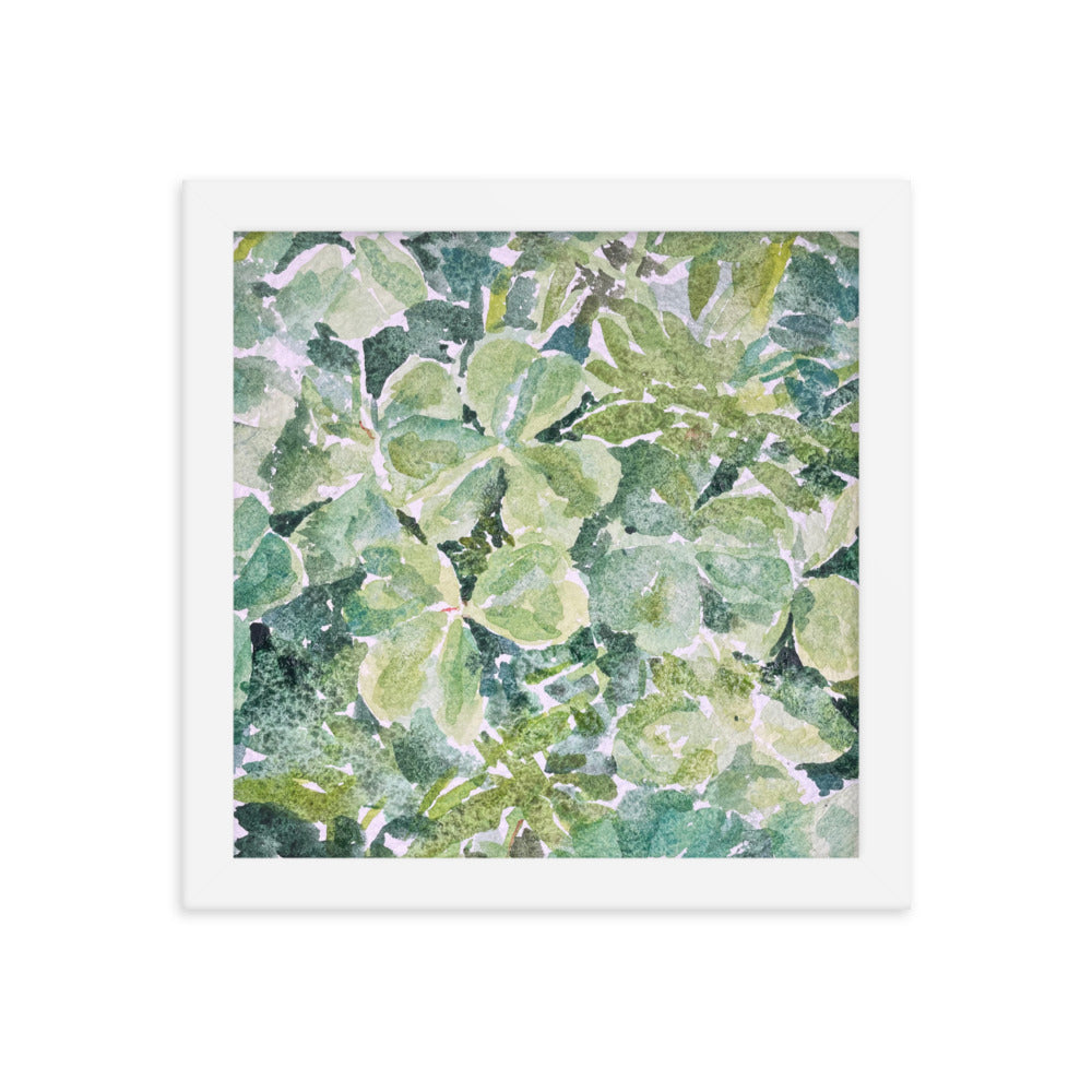 Shamrock Framed Poster