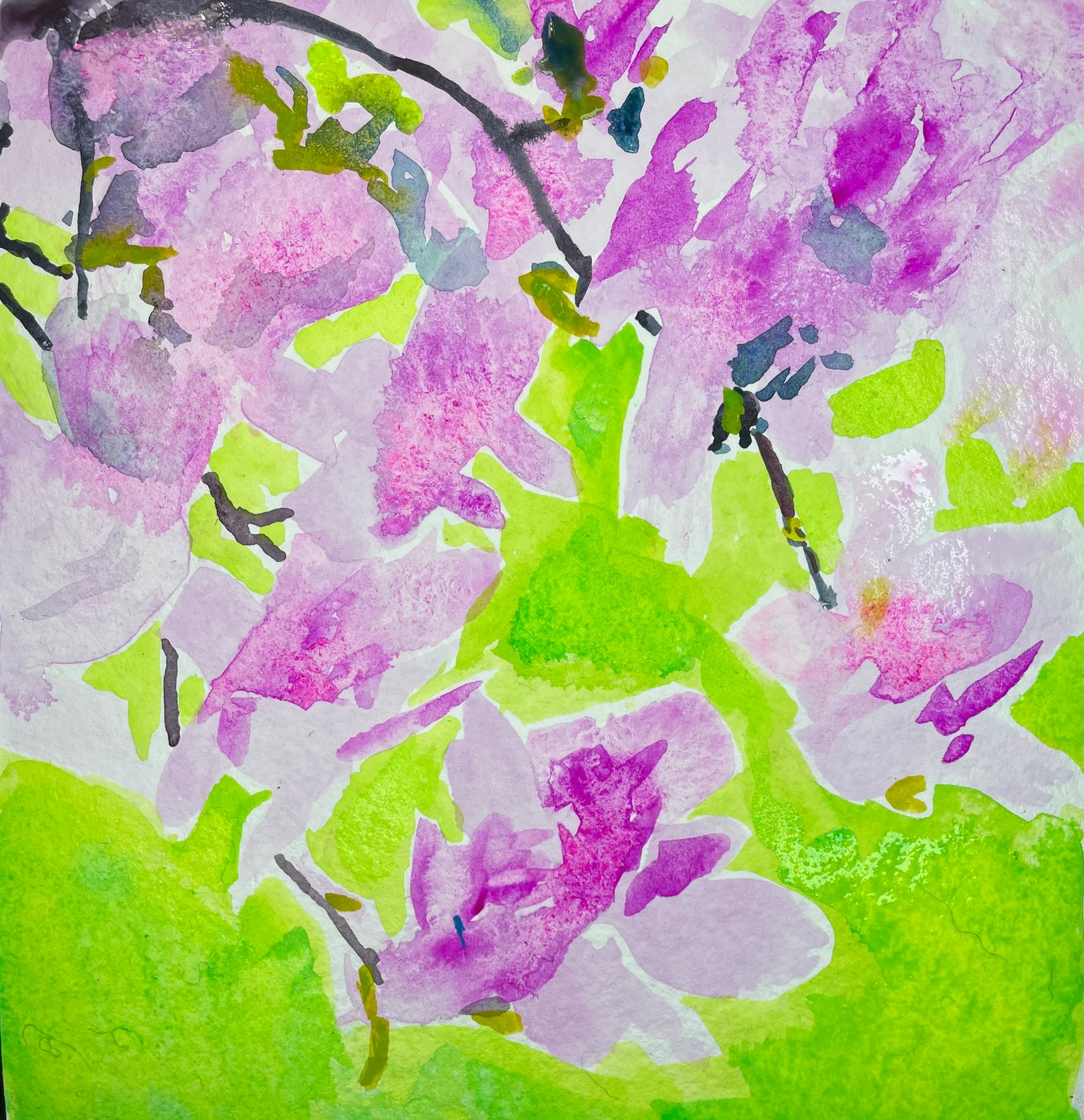 Gouache Paintings