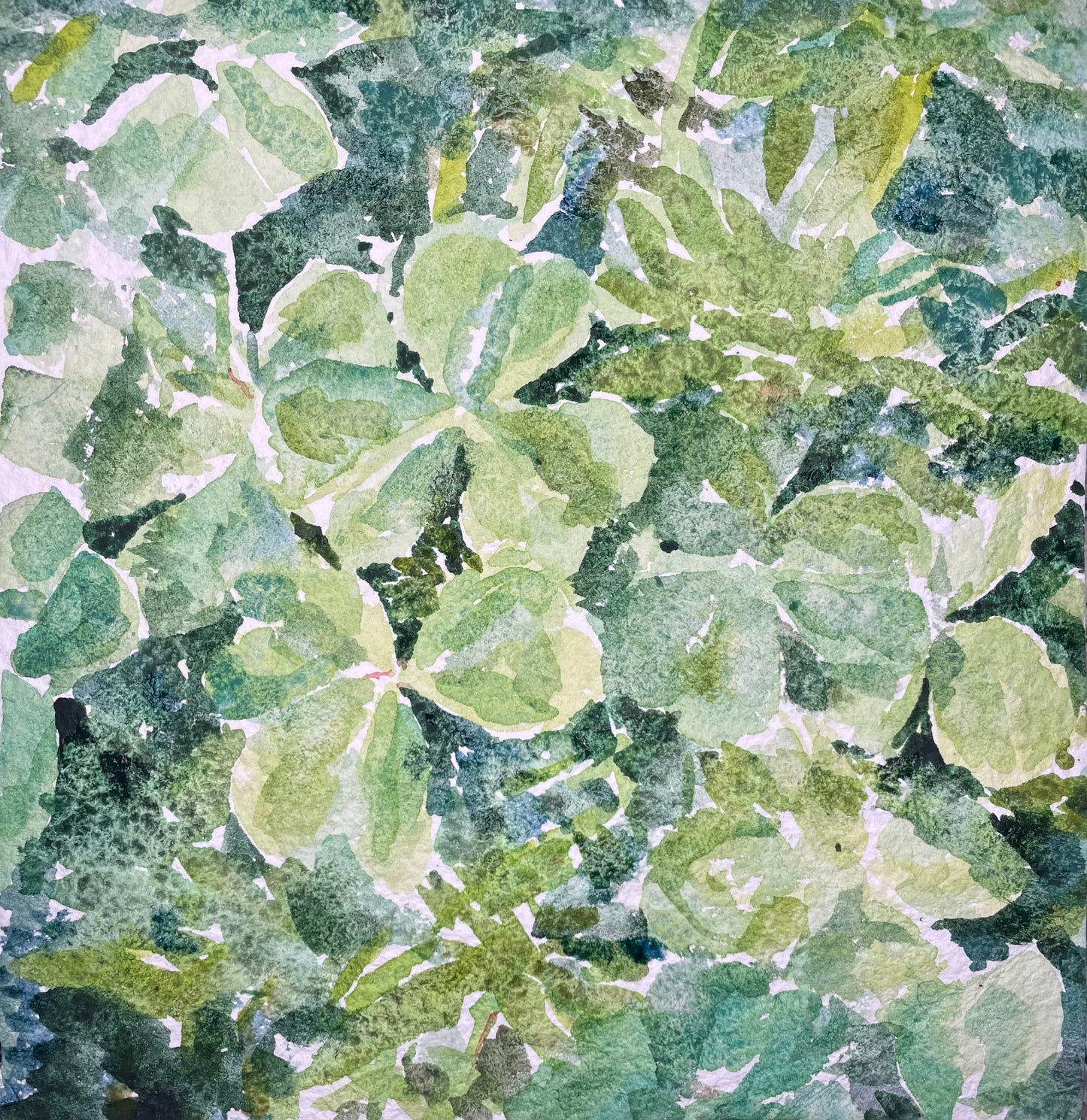 Green Looks Good on You - Cynthia Coffield Fine Art