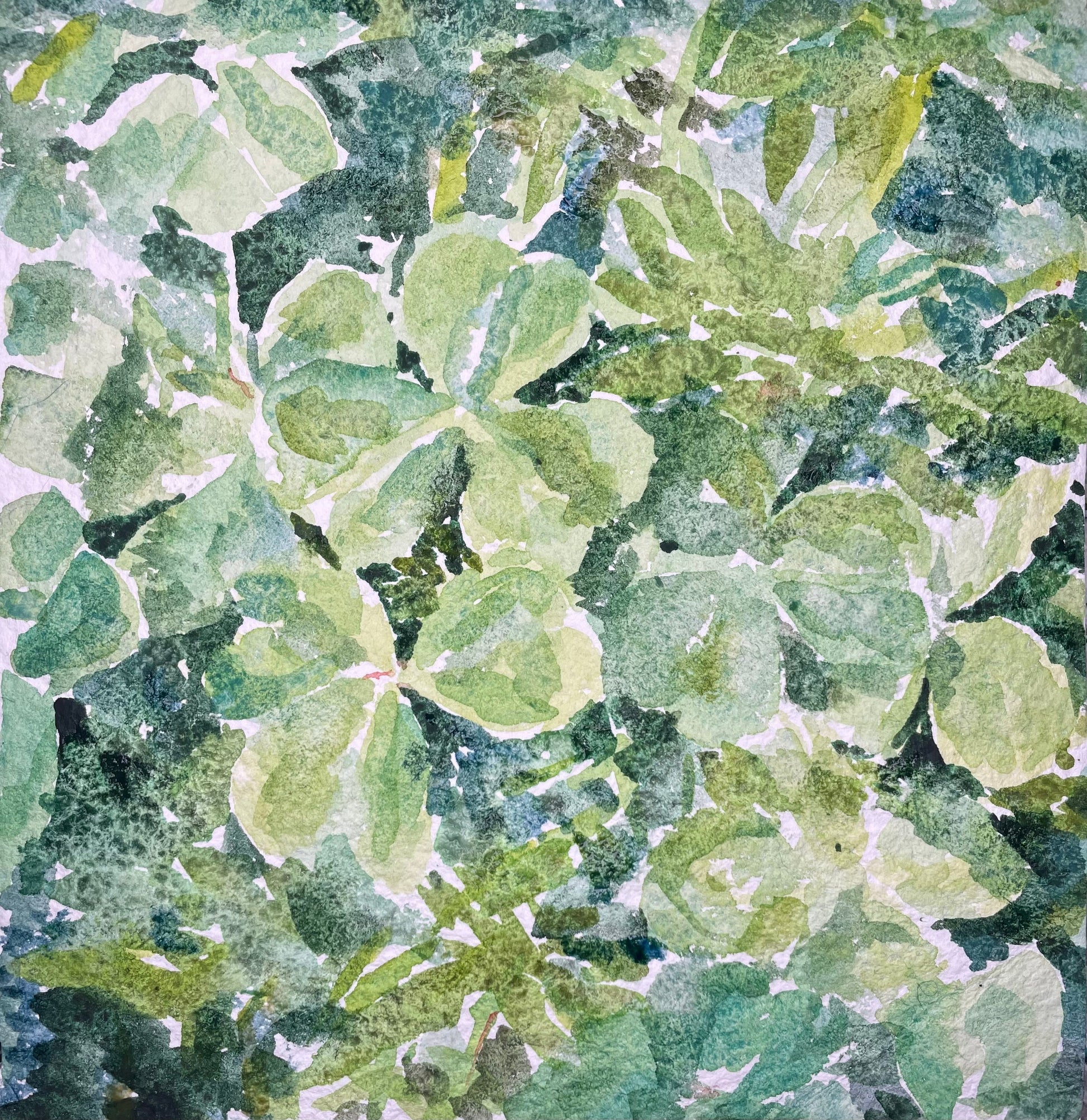 Green Looks Good on You - Cynthia Coffield Fine Art