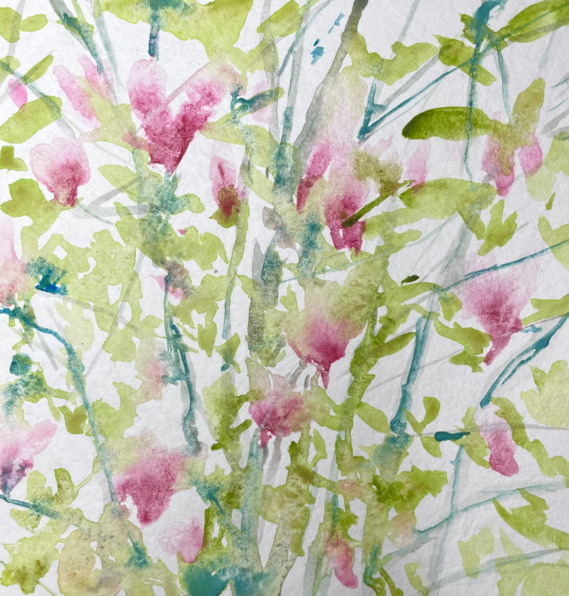 Spring Magnolia - Cynthia Coffield Fine Art