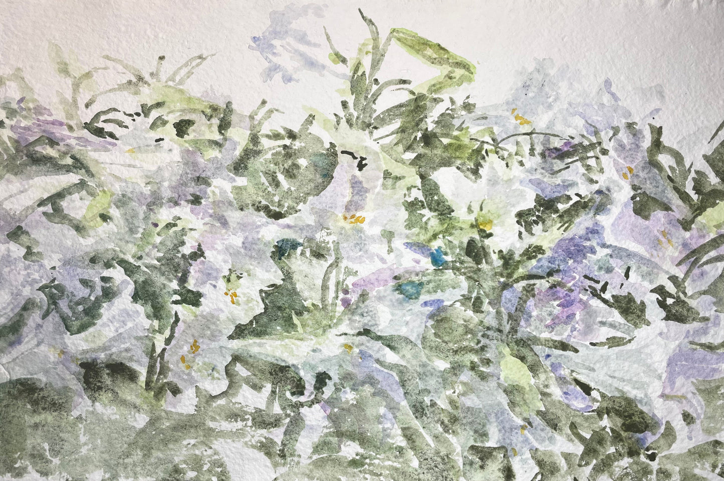 Honest or Nice - Cynthia Coffield Fine Art