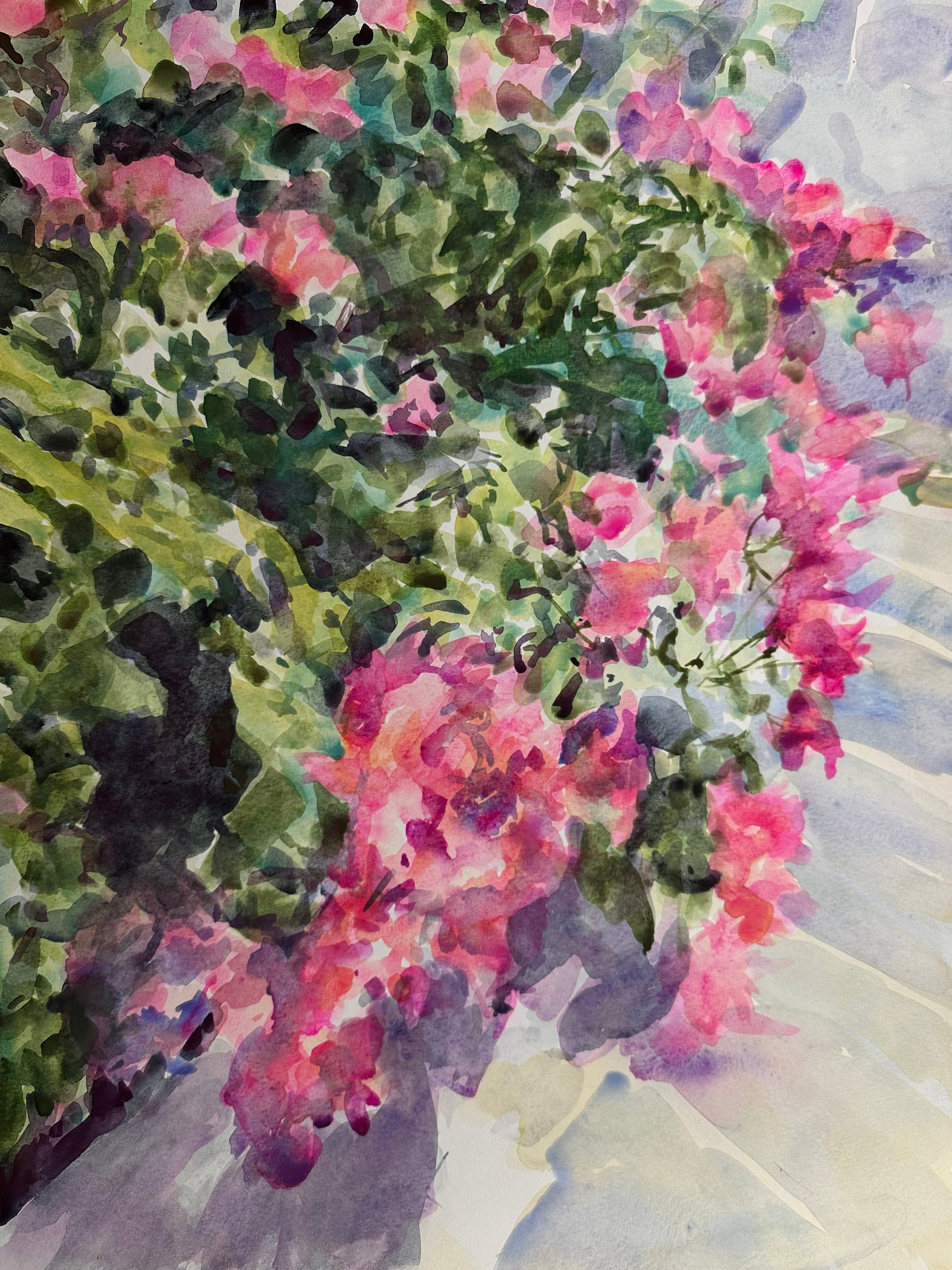 Bougainvillea & Orange Blossom - Cynthia Coffield Fine Art