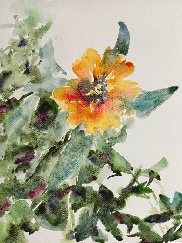 Marigold Flowers - Cynthia Coffield Fine Art