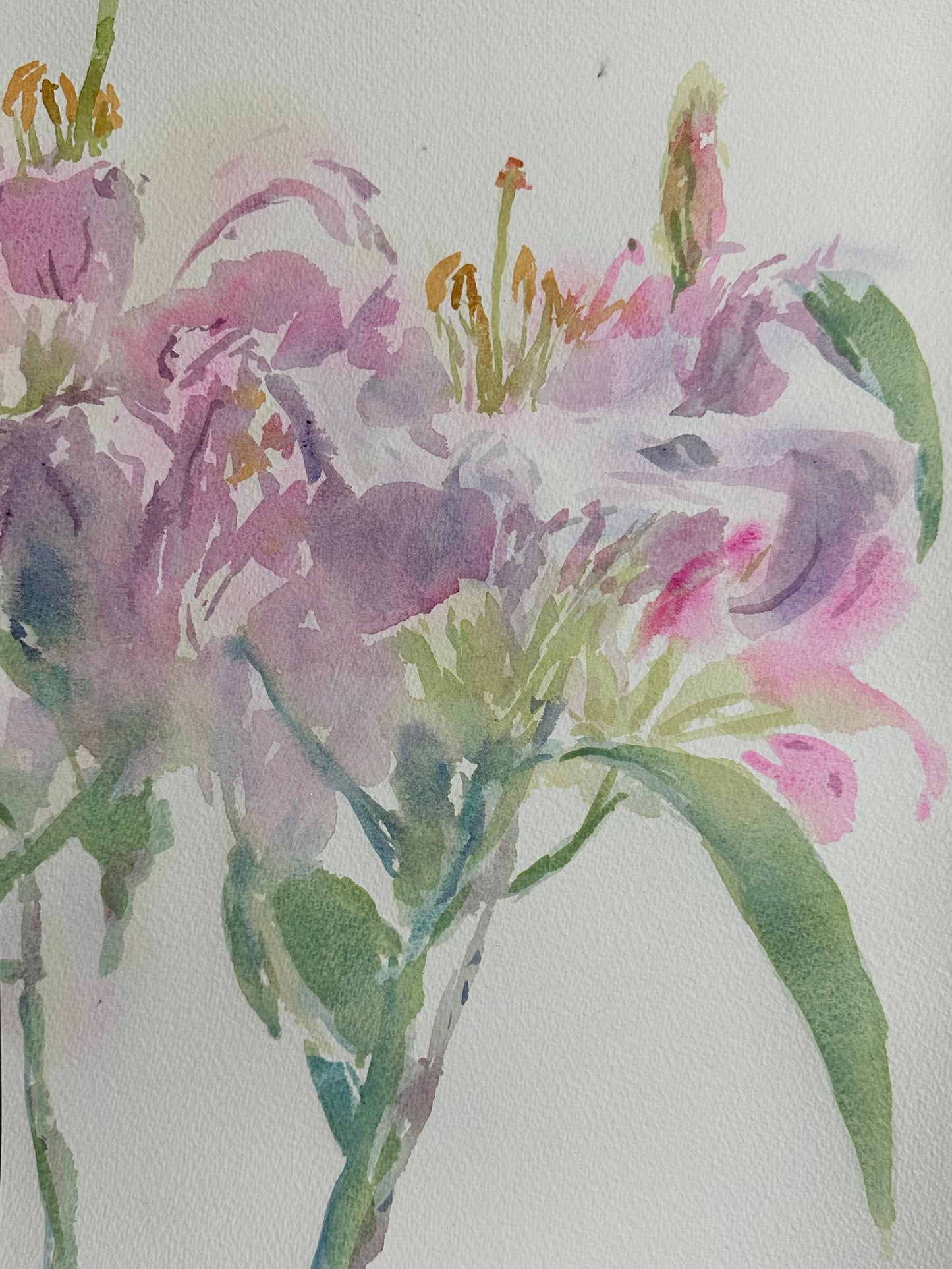November Lillies - Cynthia Coffield Fine Art