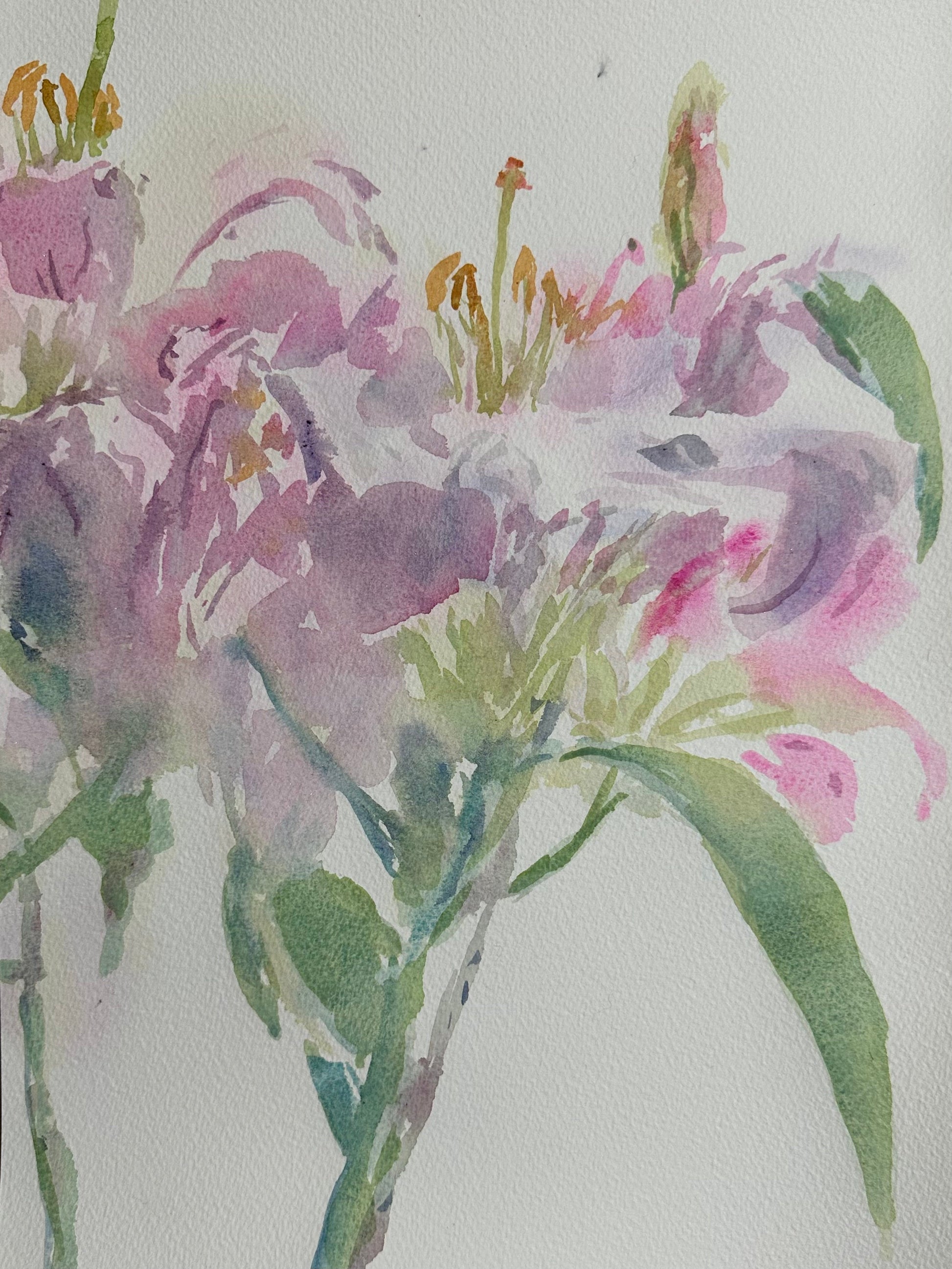 November Lillies - Cynthia Coffield Fine Art