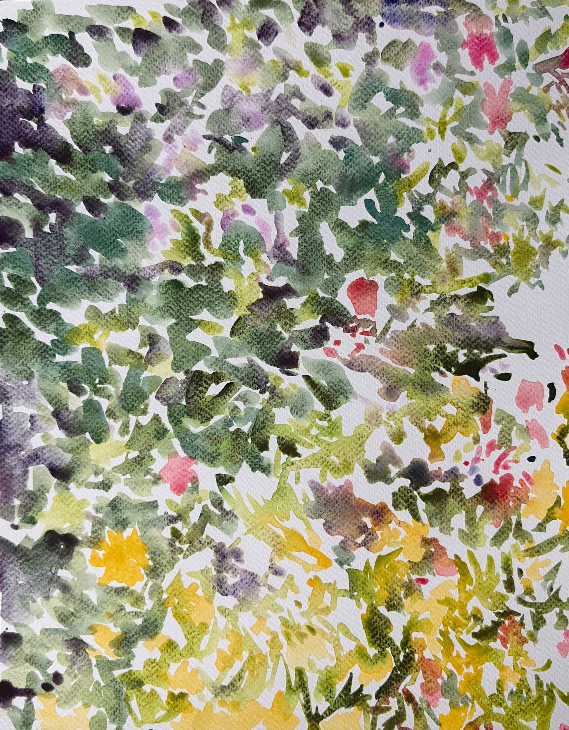 Early Fall Sunlight - Cynthia Coffield Fine Art