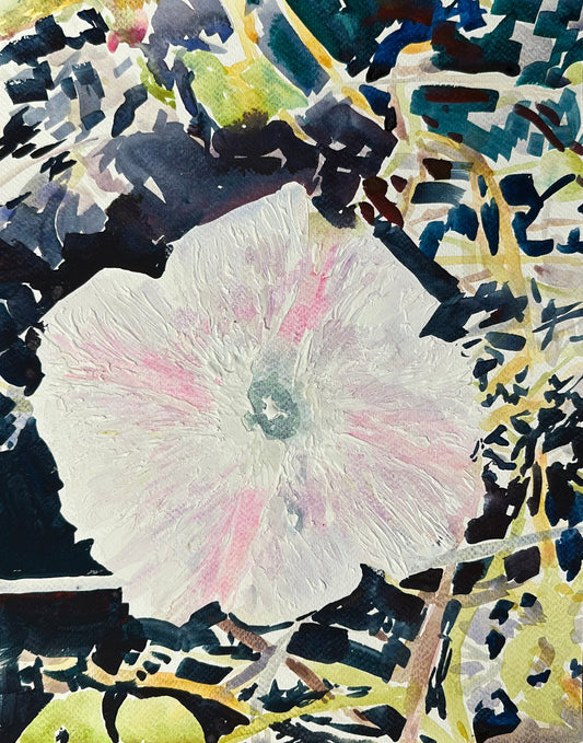 October Morning Glory - Cynthia Coffield Fine Art