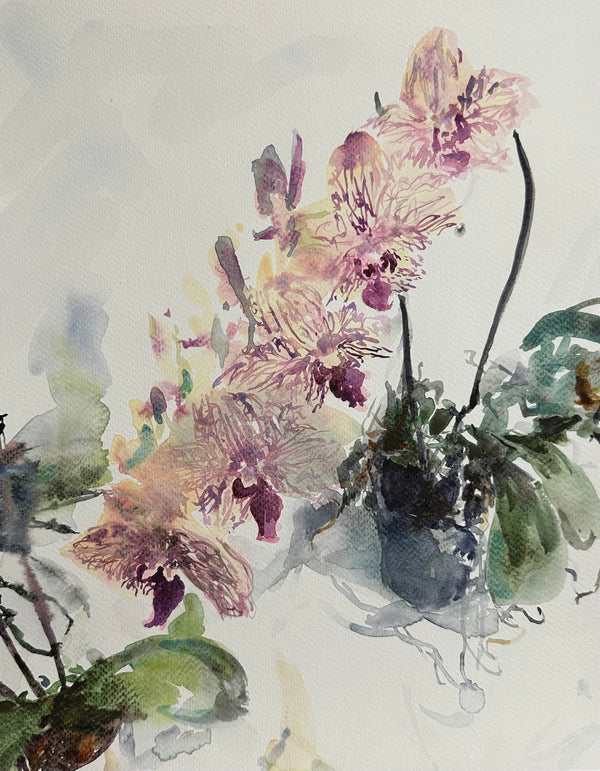 Pralaya Orchids - Cynthia Coffield Fine Art