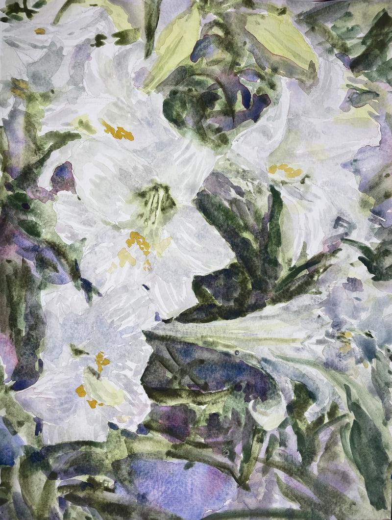 Lillies - Cynthia Coffield Fine Art