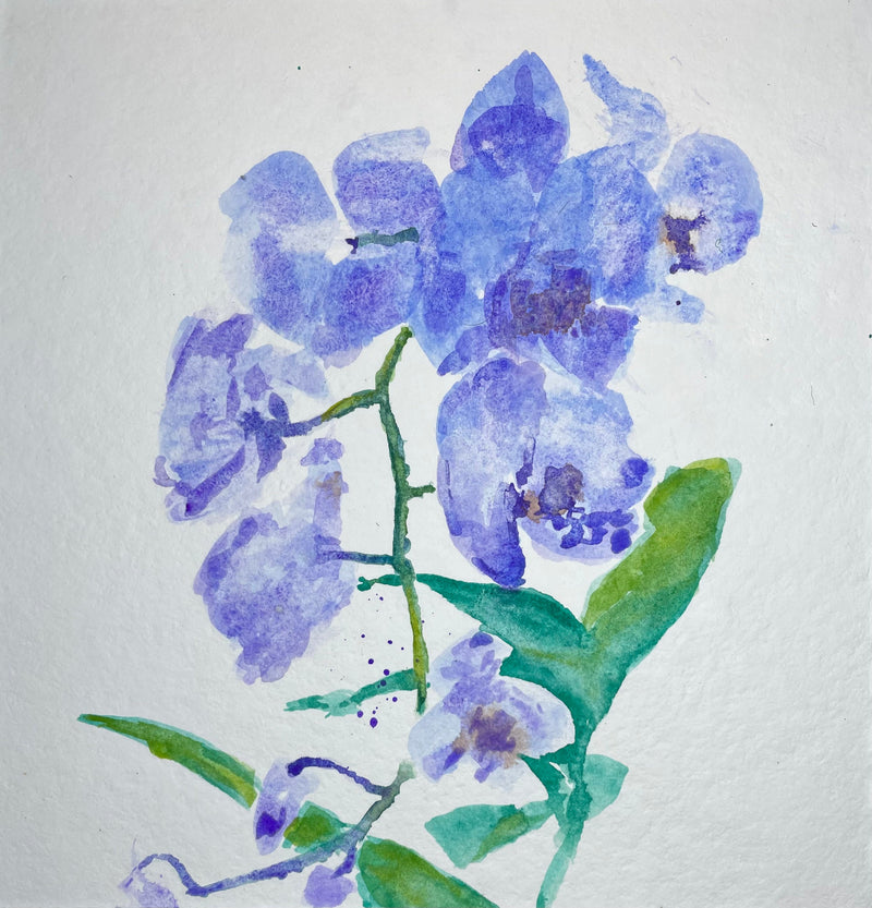 Orchid flowers - Cynthia Coffield Fine Art