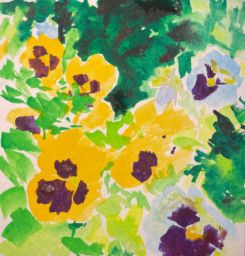 Pansy flowers - Cynthia Coffield Fine Art