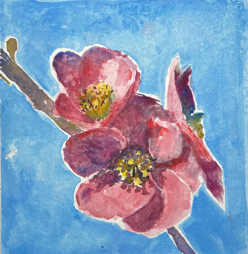 Japanese quince flowers - Cynthia Coffield Fine Art