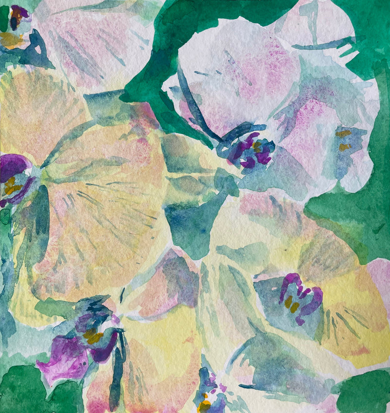 Orchids 001 - Cynthia Coffield Fine Art