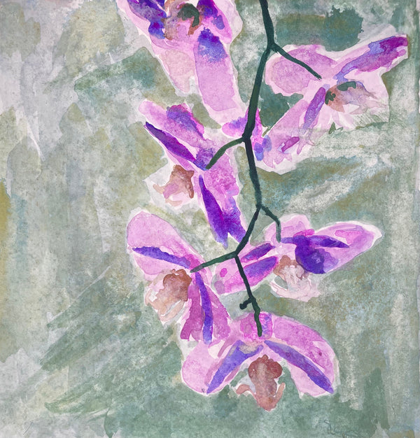 Orchids 002 - Cynthia Coffield Fine Art