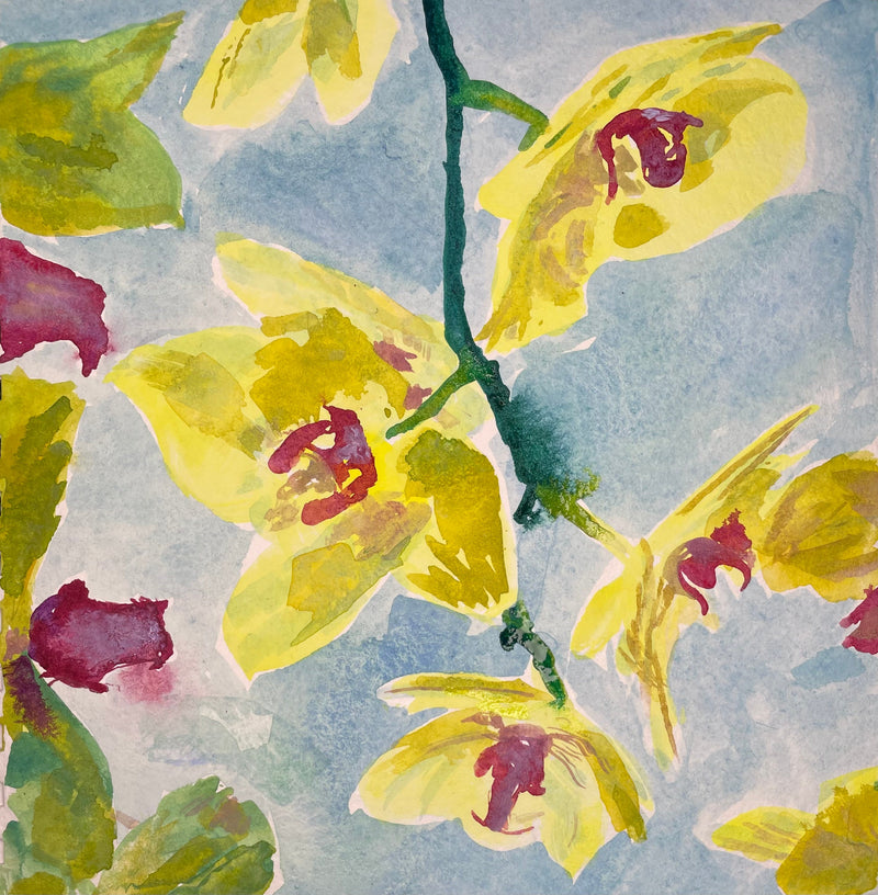 Orchids 003 - Cynthia Coffield Fine Art