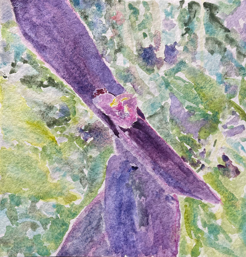 Purple Heart Flower - Cynthia Coffield Fine Art
