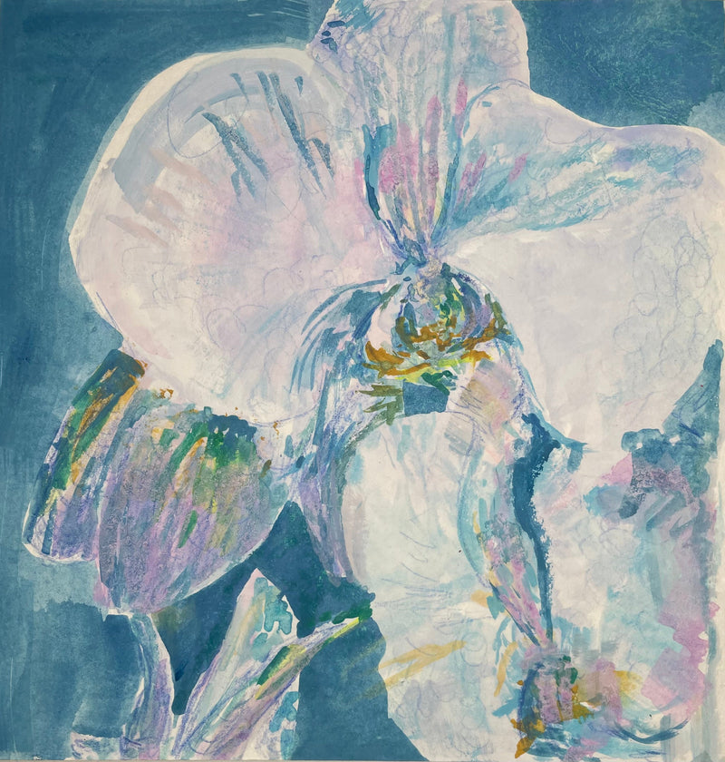 Orchids, Sleeping Beauty 1 - Cynthia Coffield Fine Art
