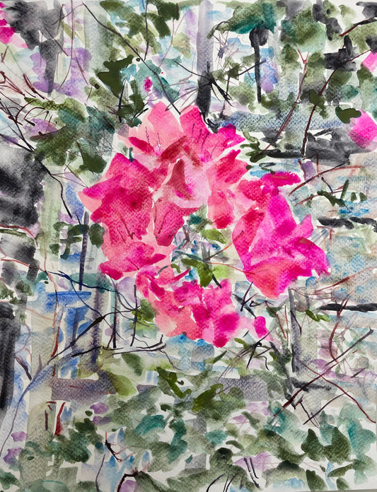 Bougainvillea - Cynthia Coffield Fine Art