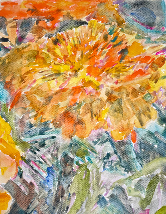Marigold - Cynthia Coffield Fine Art