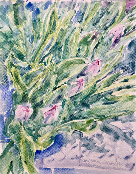 Tulips - Cynthia Coffield Fine Art