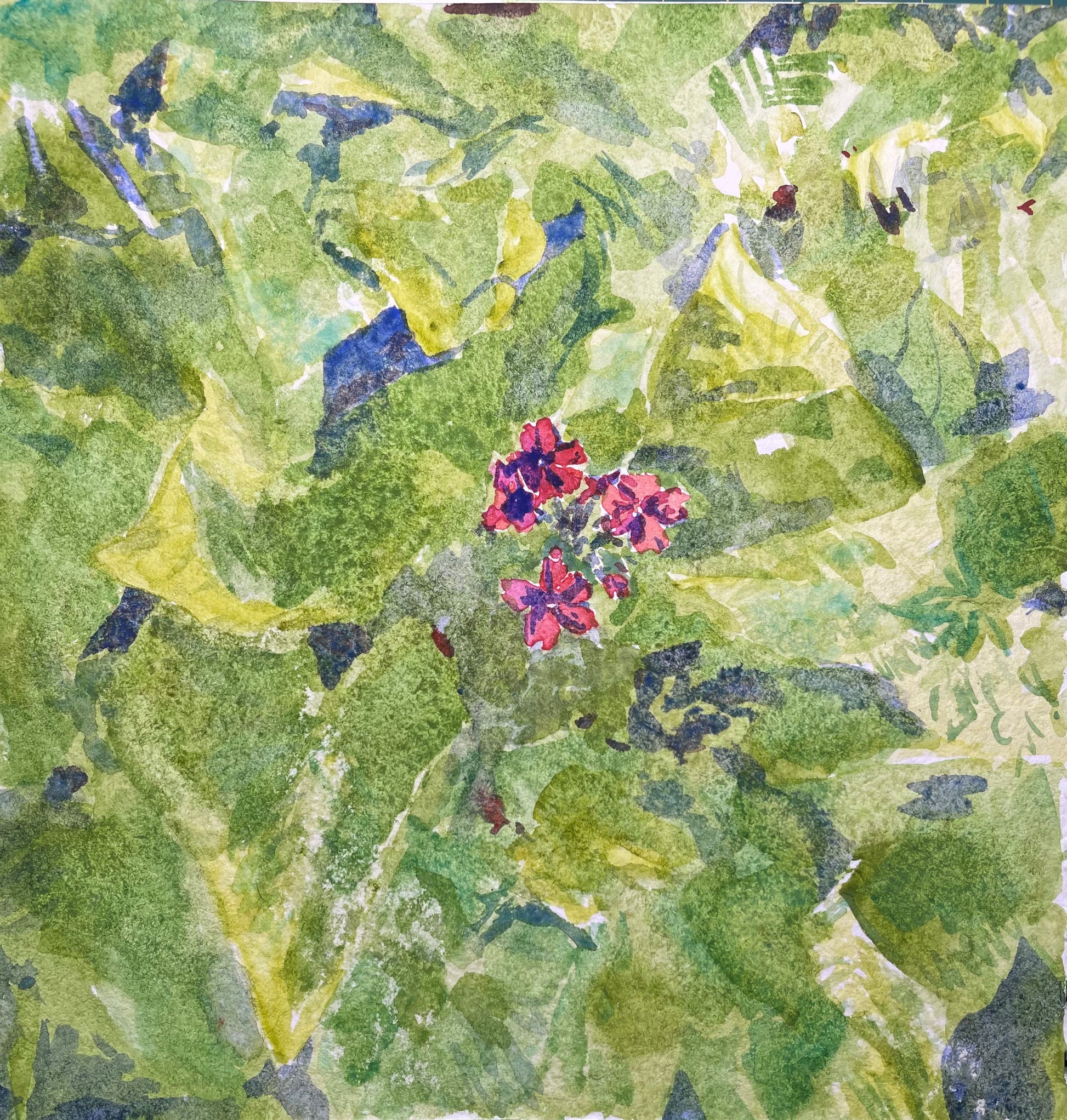 Spicy Peregrina - Cynthia Coffield Fine Art