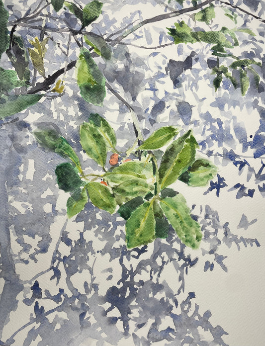 Lillies at Brasil - Cynthia Coffield Fine Art