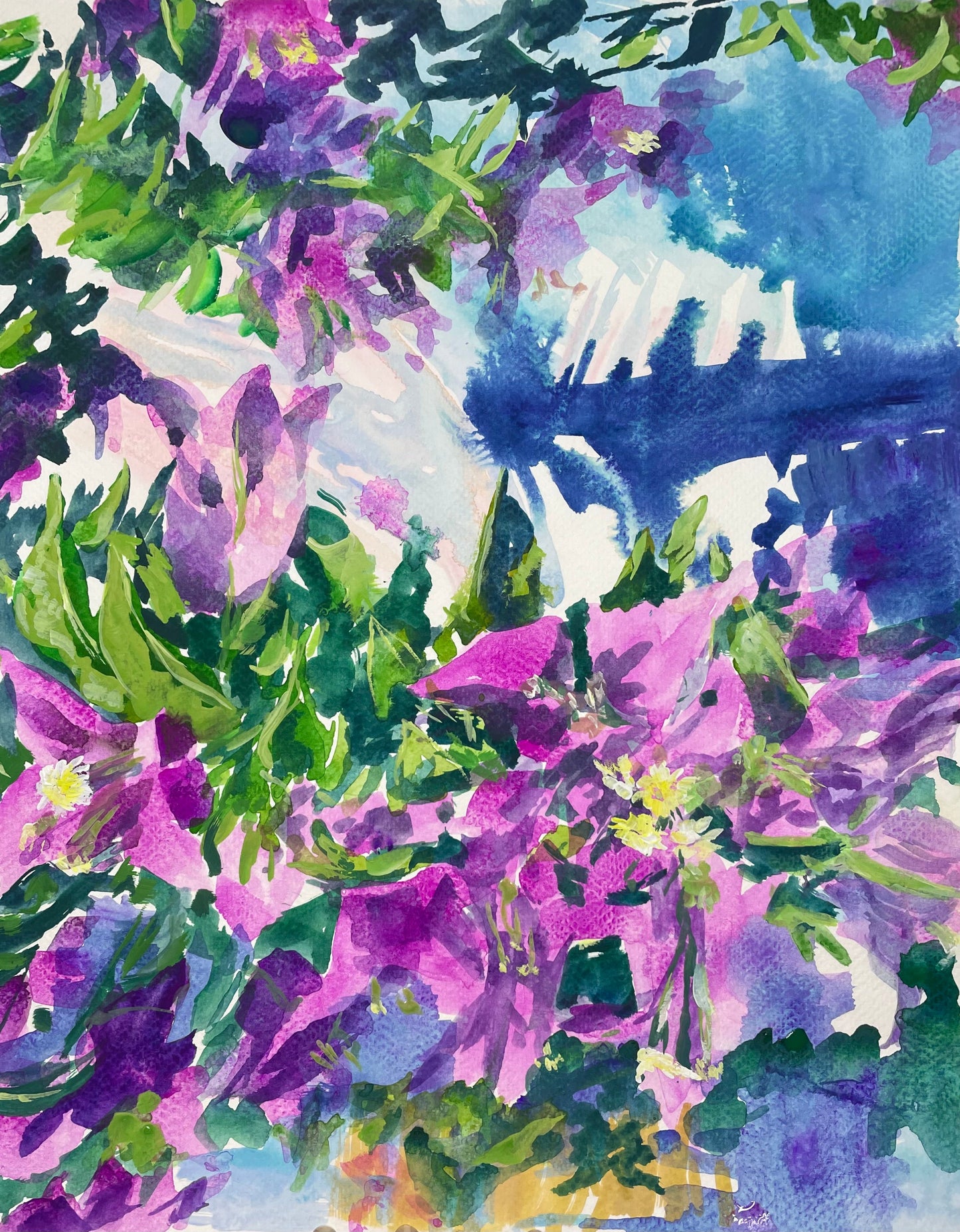 Bougainvillea Flowers - Cynthia Coffield Fine Art
