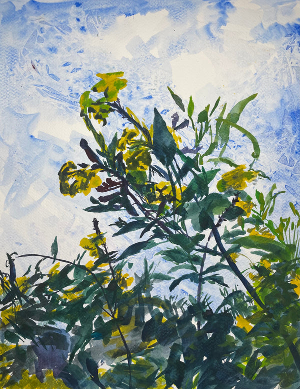 Yellow Elder Flowers - Cynthia Coffield Fine Art