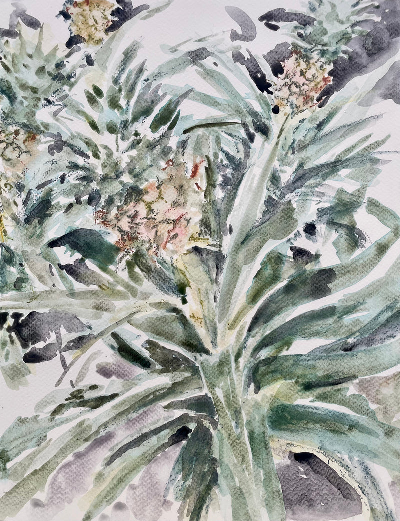 Pineapple Bromeliad - Cynthia Coffield Fine Art