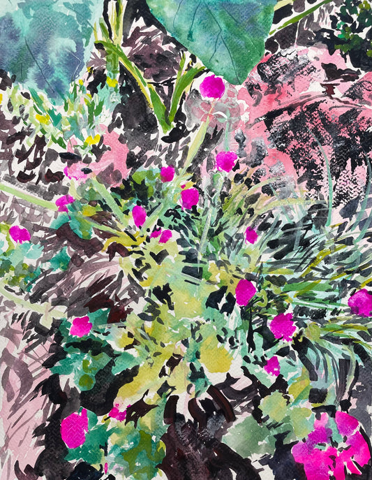 Globe Amaranth Flowers Road Trip