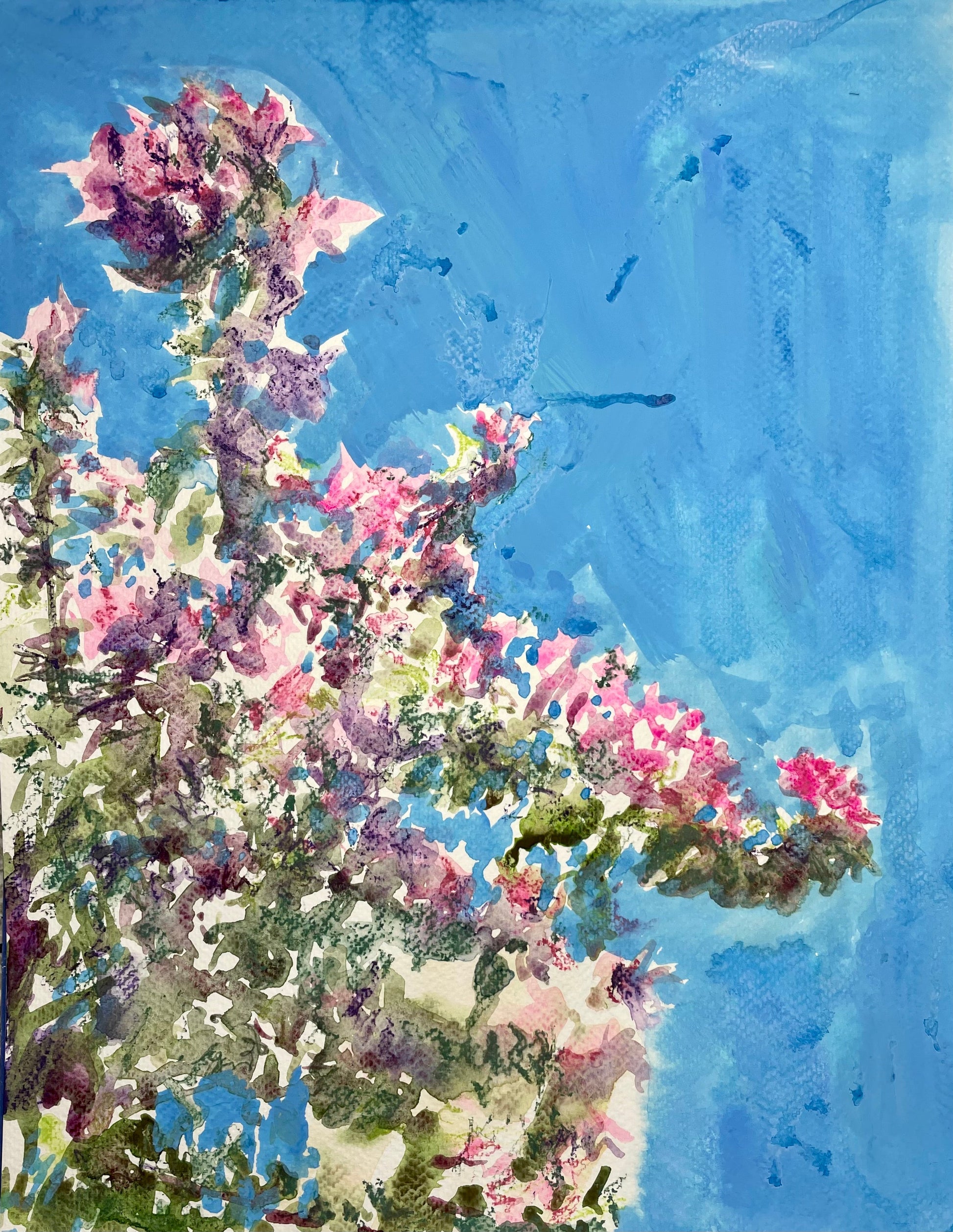 October 3 Bougainvillea - Cynthia Coffield Fine Art