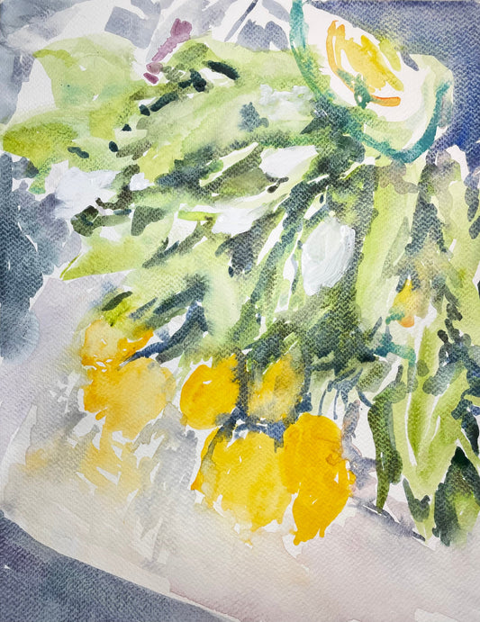 Early Fall Tulips - Cynthia Coffield Fine Art