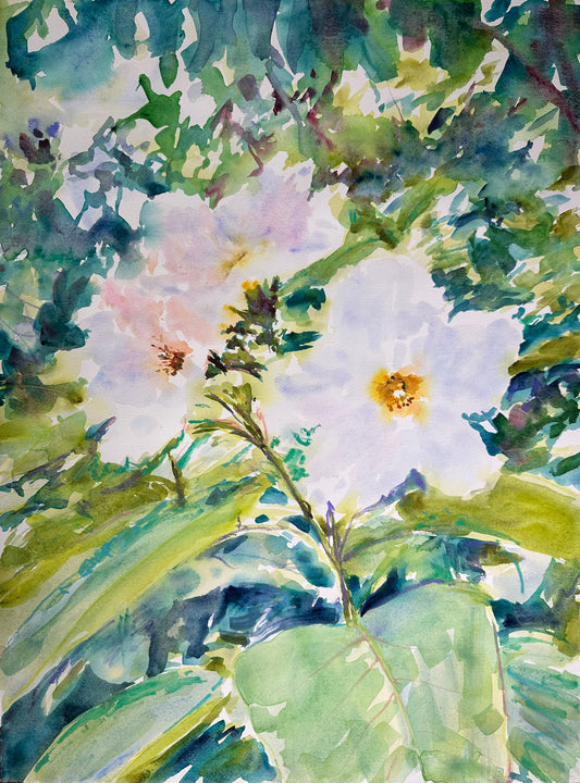 Flowers That Understand How Not Easy It Can Be And The Time It Can Take To Build a Little Universe of Peace And Happiness - Cynthia Coffield Fine Art